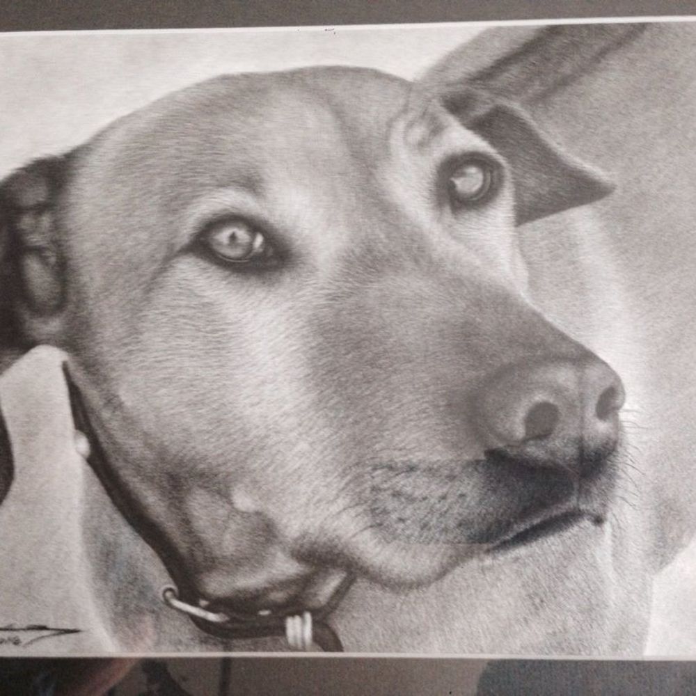 Meet your Posher, Rose